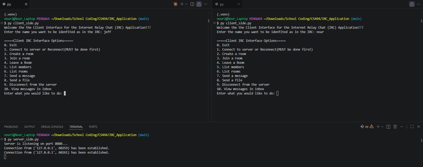 A Picture of the Custom IRC Chat Application